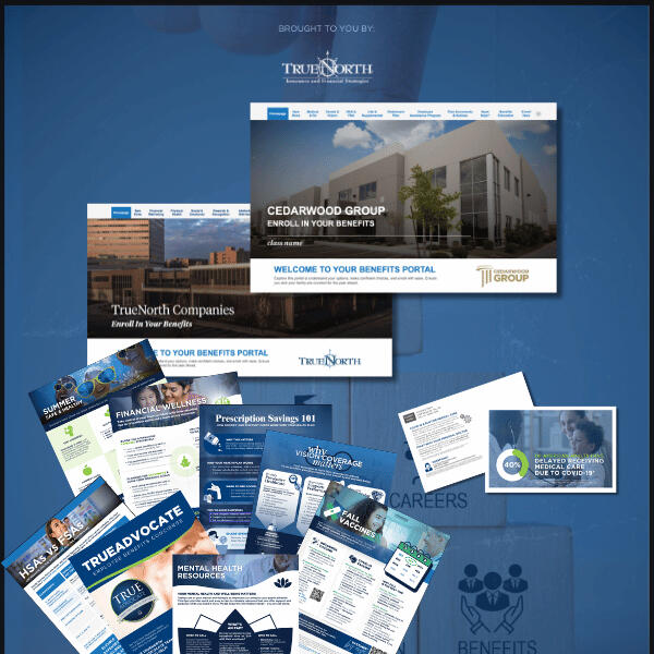 TrueNorth Companies portfolio pieces TrueNorth Companies' communication materials and microsites (portals).